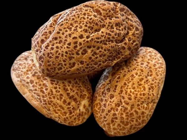 Tijgerpuntjes
